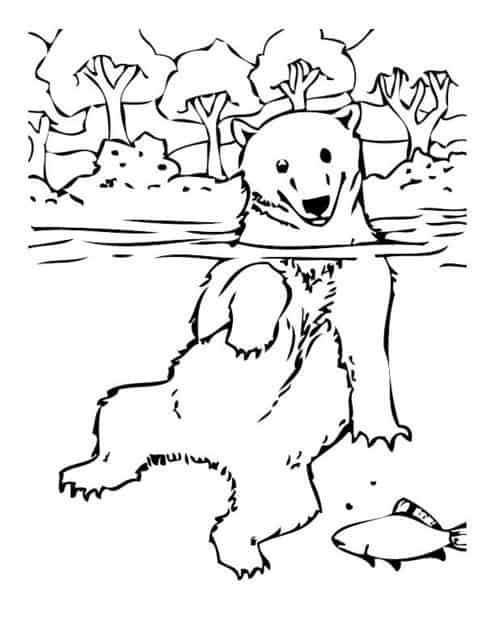 Kleurplaat ijsbeer in water